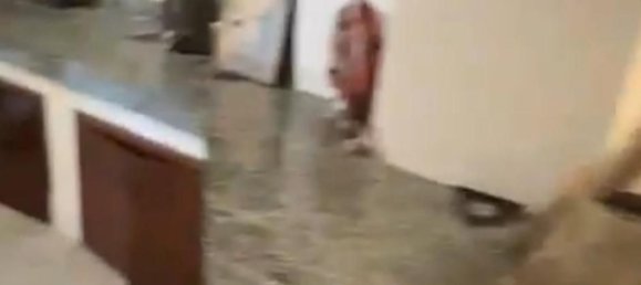 7 chambres Villa à Mediglia, Italy No. 362719 16