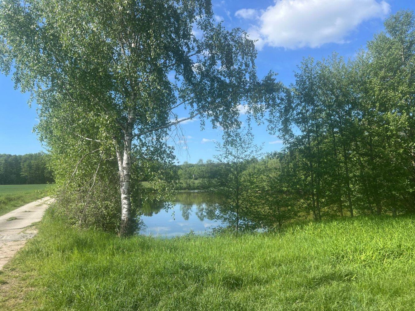  قطعة أرض في Erlangen-Hochstadt, Germany رقم 312897