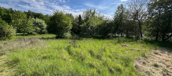  قطعة أرض في Erlangen-Hochstadt, Germany رقم 312897 4