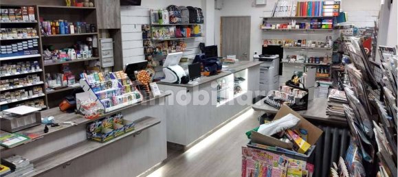 Коммерческая недвижимость с 1 комнатой в Ларчано, Италия № 157428 15