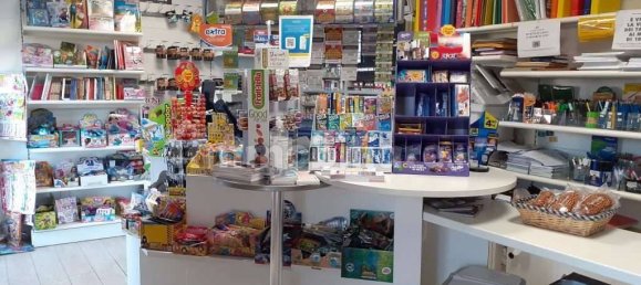 Коммерческая недвижимость с 1 комнатой в Ларчано, Италия № 157428 4