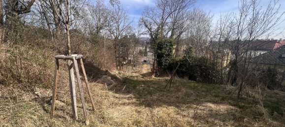 Земельный участок в Пенцинг, Австрия № 107739 6