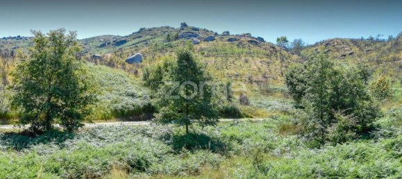 Terreno en Amarante, Portugal 4450 m² No. 15538 21