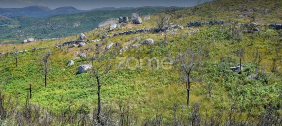 Terreno en Amarante, Portugal 4450 m² No. 15538 19