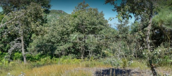 Terreno en Amarante, Portugal 4450 m² No. 15538 22