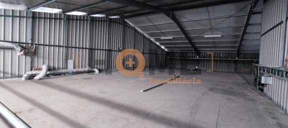 Almacén en Muge, Portugal 5330 m² No. 63089 14