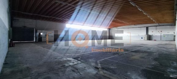 Almacén en Muge, Portugal 5330 m² No. 63089 38