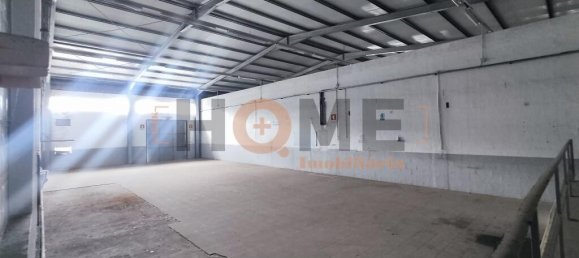 Almacén en Muge, Portugal 5330 m² No. 63089 4
