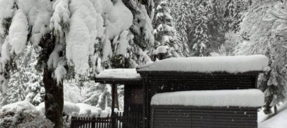 3 rooms House in Itter, Austria No. 222947 9