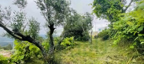 Terreno em Caminha, Portugal 680 m² N.º 58686 11