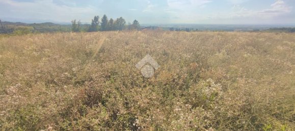 Grundstück in Carezzano, Italy 10745m², Nr. 271189 23