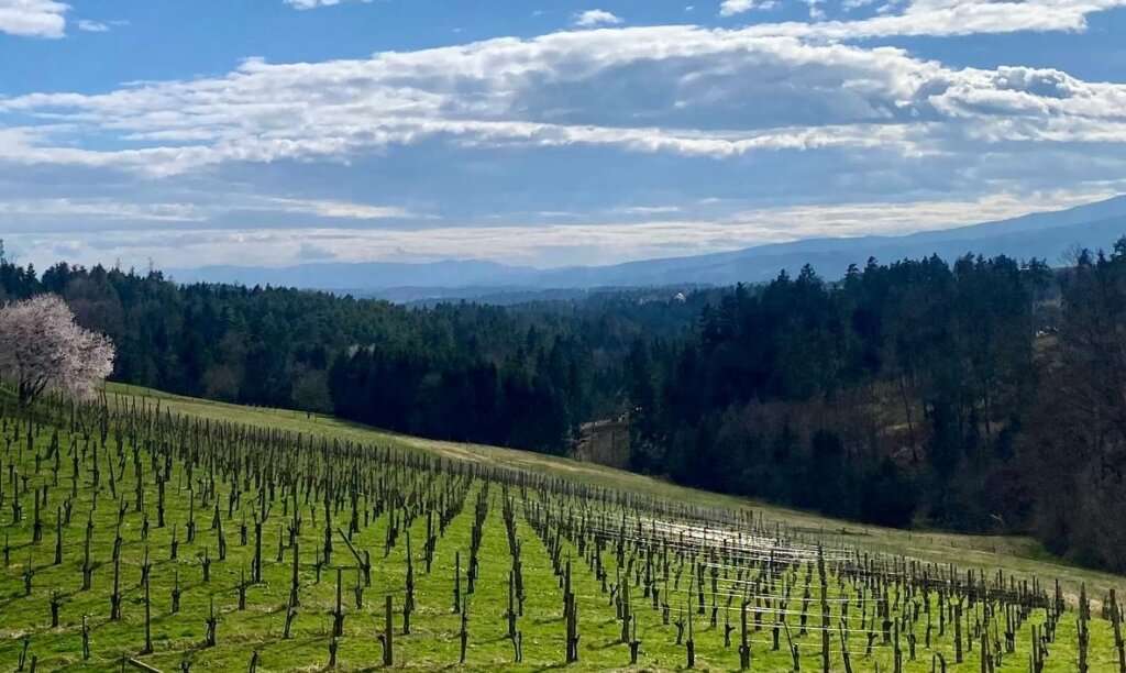 4 rooms Penthouse in Graz-Umgebung, Austria No. 17251