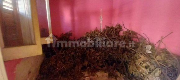 1 bedroom House in Taurianova, Italy No. 202975 8