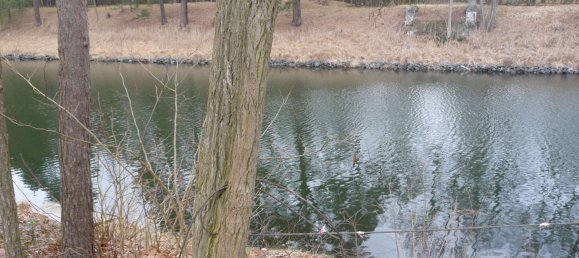 Casa T3 em Oder-Spree, Germany N.º 62210 26