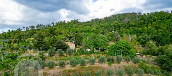 Дом с 10 комнатами в Кортона, Италия № 124423 2