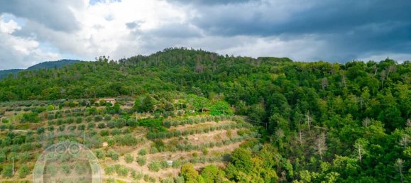 Дом с 10 комнатами в Кортона, Италия № 124423 3