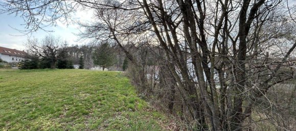 3 rooms House in Steinberg-Dorfl, Austria No. 169669 49