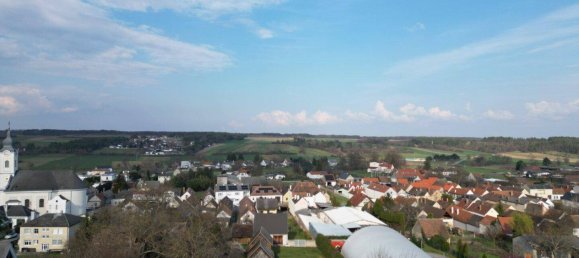 3 rooms House in Steinberg-Dorfl, Austria No. 169669 32