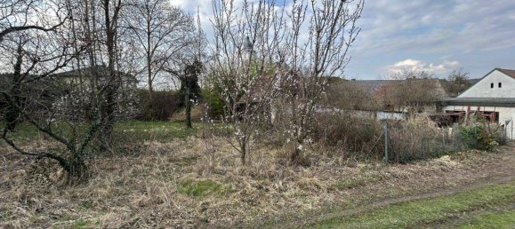 3 rooms House in Steinberg-Dorfl, Austria No. 169669 45