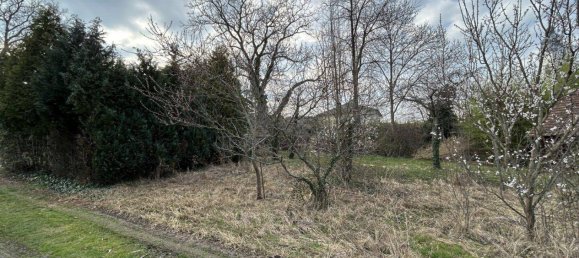 3 rooms House in Steinberg-Dorfl, Austria No. 169669 44