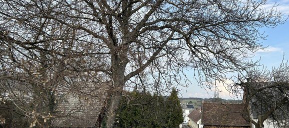 3 rooms House in Steinberg-Dorfl, Austria No. 169669 48