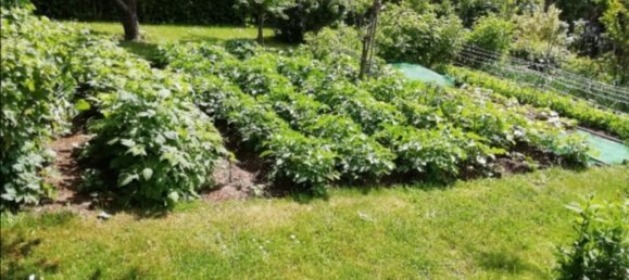 5 rooms Townhouse in Demmin, Germany No. 30662 11