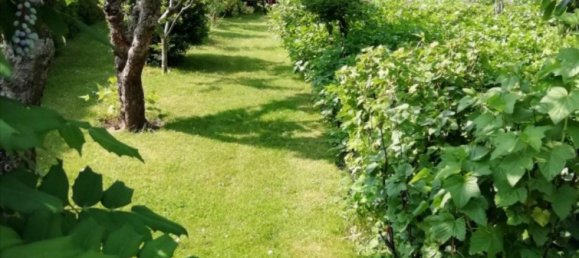 5 rooms Townhouse in Demmin, Germany No. 30662 10