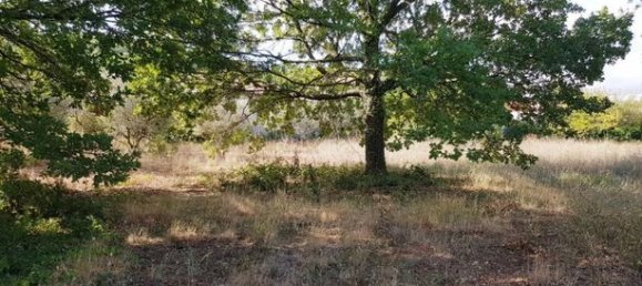 2350m² Land in Canet, France No. 279025 2