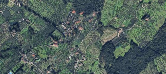 6 bedrooms House in Sesto Fiorentino, Italy No. 317664 14