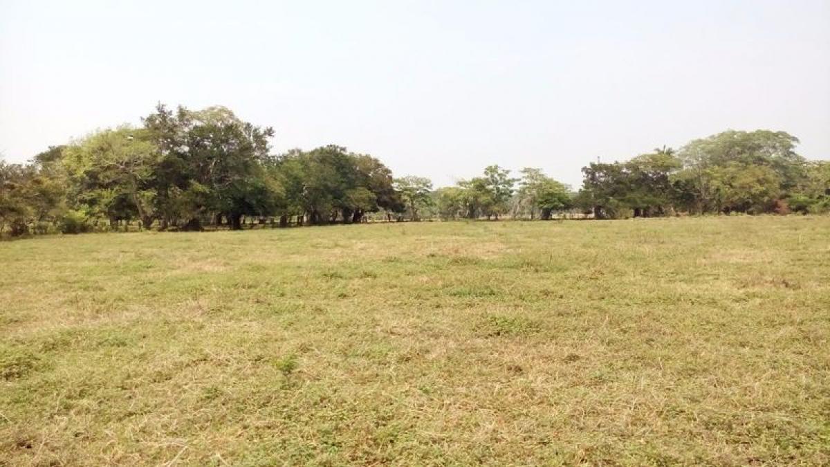 Terrain à Veracruz, Mexico No. 206758