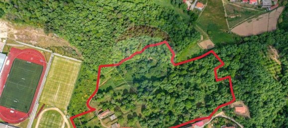 9 Schlafzimmer Haus in Vila Pouca de Aguiar, Portugal, Nr. 23243 25