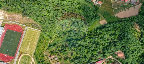 9 Schlafzimmer Haus in Vila Pouca de Aguiar, Portugal, Nr. 23243 20