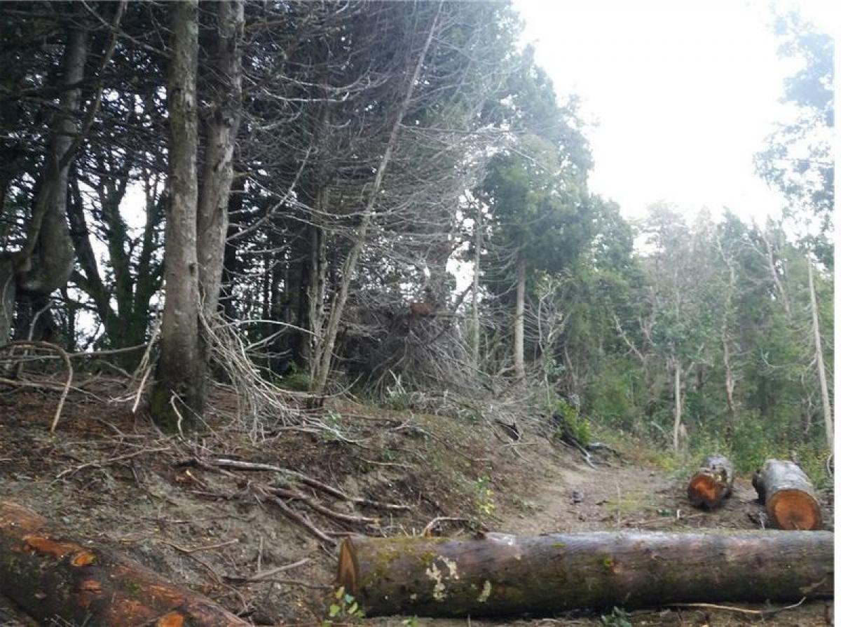  Land in Neuquen, Argentina No. 50052