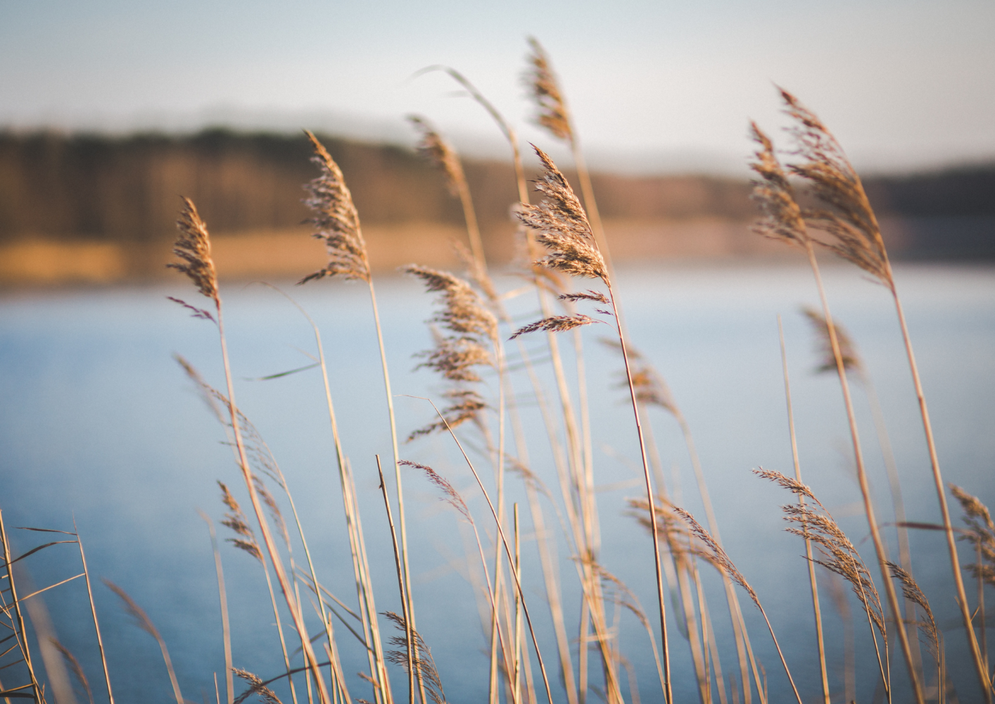  Land in Ostholstein, Germany No. 218779