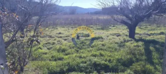 27m² Land in Villaquilambre, Spain No. 69039 7