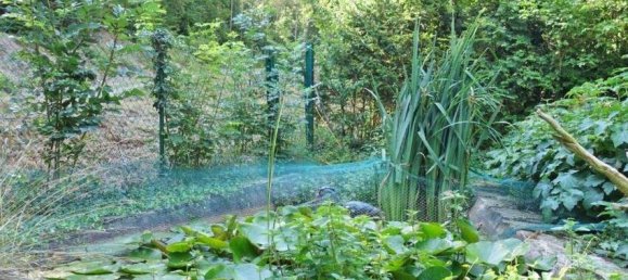 Casa de 3 divisões em Purkersdorf, Austria N.º 35226 18