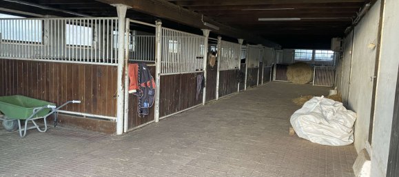 3 chambres Ferme à Breisgau-Hochschwarzwald, Germany No. 232268 9