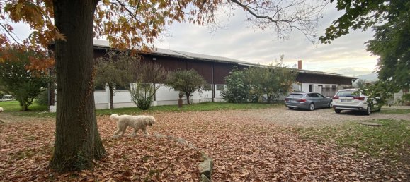 3 chambres Ferme à Breisgau-Hochschwarzwald, Germany No. 232268 2