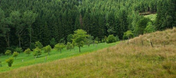 3 rooms Apartment in Strassburg, Austria No. 199394 11