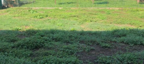 3 غرف نوم منزل في Grontardo, Italy رقم 347546 13