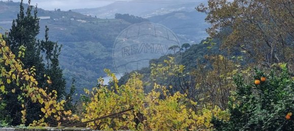 Дом с 3 спальнями в Резенди, Португалия № 186625 8