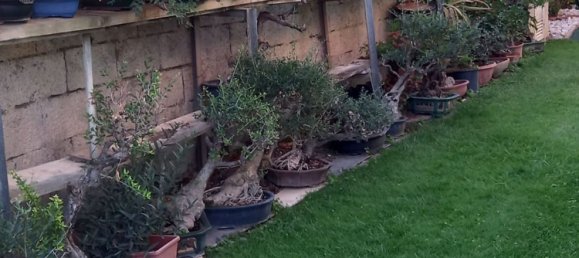 6غرفة منزل في San Nicolò d'Arcidano, Italy رقم 270375 5