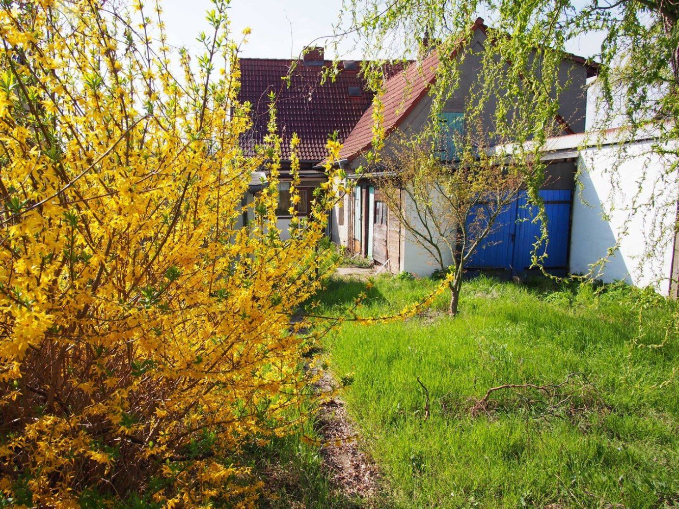 4غرفة منزل في Frankfurt an der Oder, Germany رقم 225822