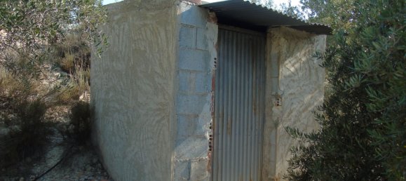 19400m² Land in Murcia, Spain No. 181125 15