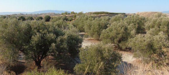 19400m² Land in Murcia, Spain No. 181125 10