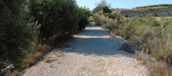19400m² Land in Murcia, Spain No. 181125 19