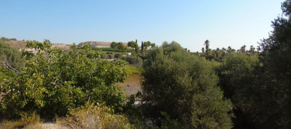 19400m² Land in Murcia, Spain No. 181125 26