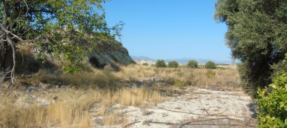 19400m² Land in Murcia, Spain No. 181125 25