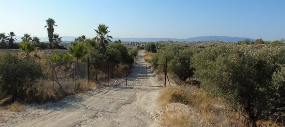 19400m² Land in Murcia, Spain No. 181125 11