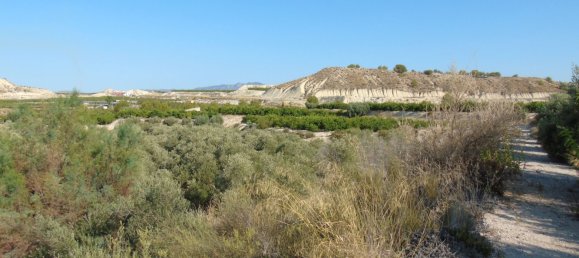 19400m² Land in Murcia, Spain No. 181125 23